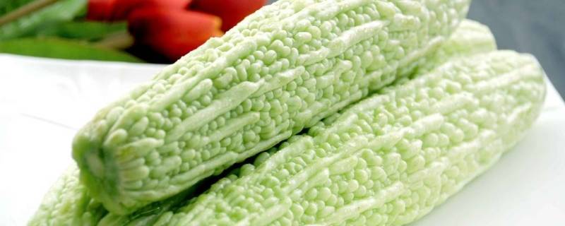 凉瓜是苦瓜嘛(凉瓜是哪一种蔬菜的俗称)