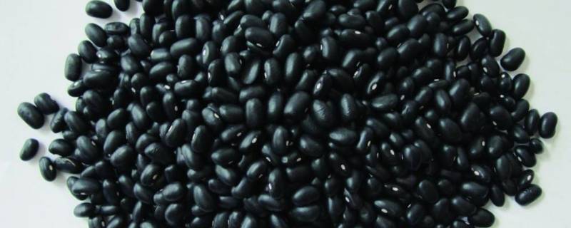 黑豆皮有营养还是里面有营养(黑豆皮的功效与作用)