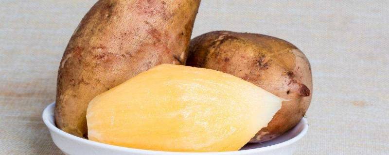 雪莲花怎么吃(雪莲果长芽)