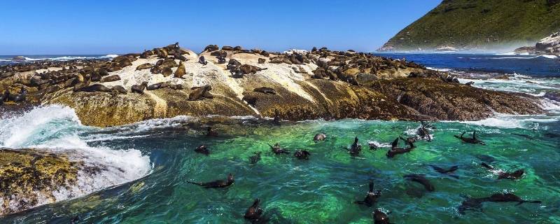 南非地理位置(南非地理位置分析)