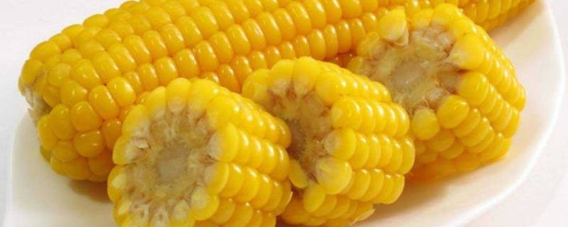 玉米煮久了还有营养吗(玉米煮熟营养流失吗)
