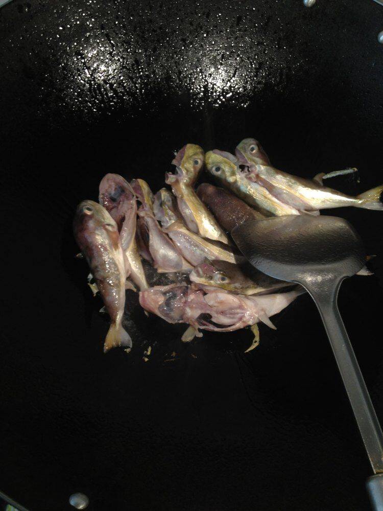 河豚可以做什么菜(河豚可以做什么美食)