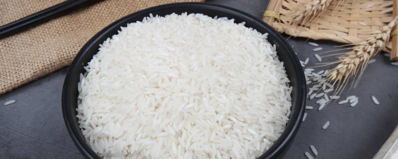 米里有很多虫子还能吃吗(米里有虫子还可以吃吗)