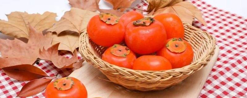 柿子里的黑点点是什么能吃吗(柿子里的黑点点是什么)