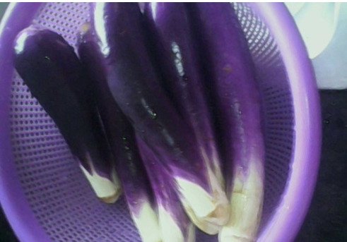 茄子炒肉怎样做好吃(茄子炒肉怎么做才能好吃)