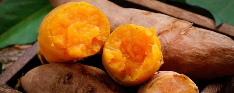 烤红薯不用锡纸能烤吗(烤红薯不用锡纸烤箱版的做法)