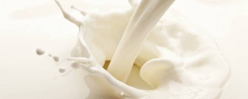 粽子可以喝牛奶吗(粽子可以跟纯牛奶一起喝吗)