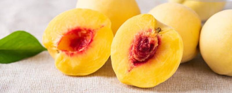 黄桃和杏子可以一起吃吗(黄桃跟杏子有区别吗)