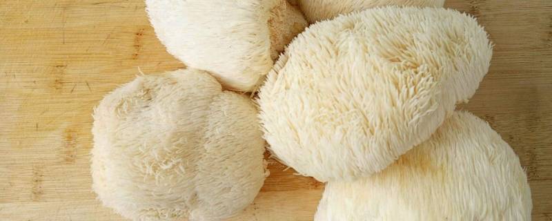 猴头菇拆封后变黄(猴头菇变黄还能吃吗)