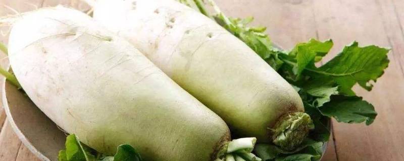 萝卜里面成了蓝色的还能吃吗(萝卜里面是蓝色的还能吃吗)