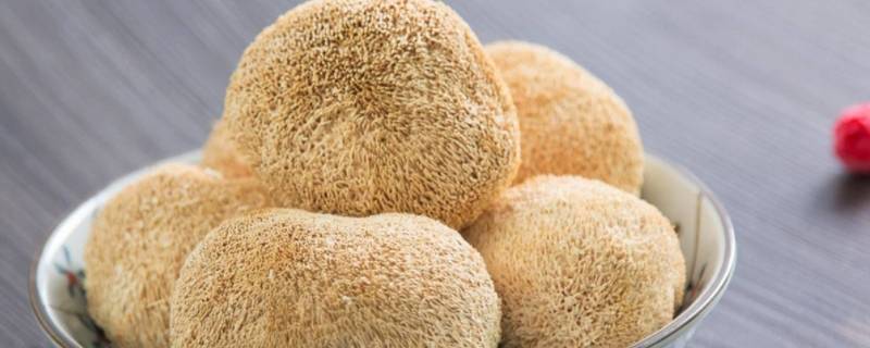 猴头菇要泡多久为最佳(猴头菇要泡多久怎么清洗)