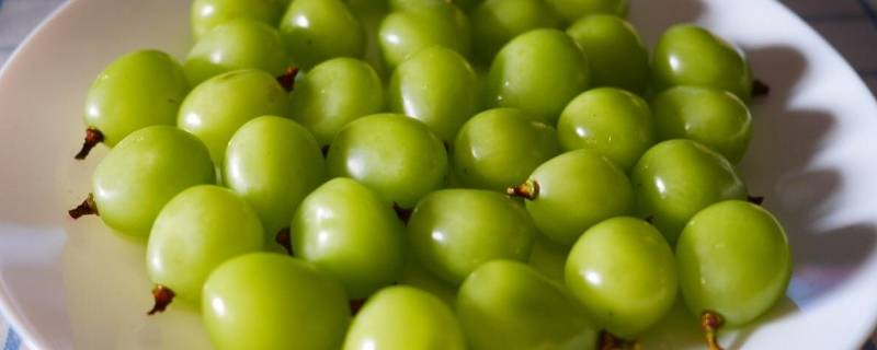 香印葡萄和晴王葡萄的区别(香印和晴王葡萄区别)
