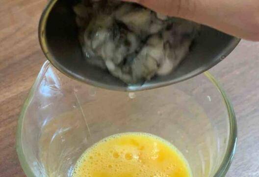 海蛎怎么煮好吃又简单(海蛎怎么炒紫菜)