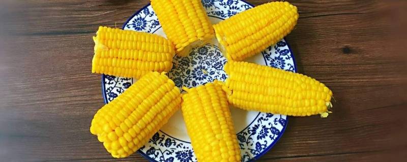 新鲜玉米放冰箱保鲜可以放多久(新鲜玉米可以放几天不老)