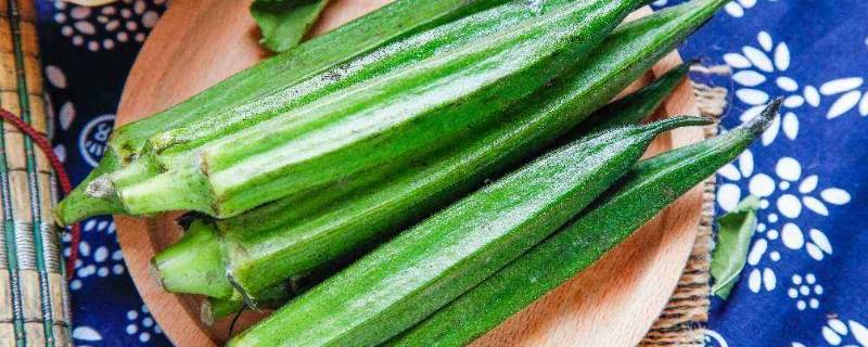 吃秋葵回奶还是下奶(吃秋葵的好处和功效)