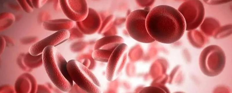 a型b型o型哪个身体素质好(a型和b型生出了o型的孩子)