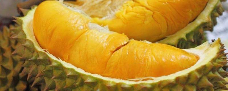 没开口的榴莲怎么吃(没开口的榴莲怎么打开是不熟吗)