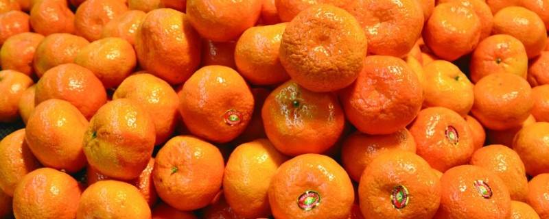 小桔子怎么保存不容易烂(新摘的桔子怎样保存不会烂)