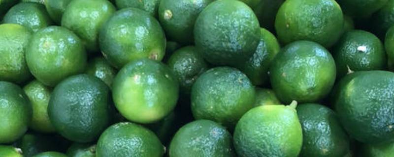 金桔有青色的怎么回事(青色金桔的做法)