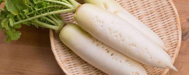白萝卜去皮后还有营养吗(白萝卜去皮后怎么保存)