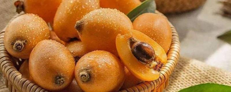 枇杷核能煮水喝吗(枇杷怎么煮水止咳 祛痰)