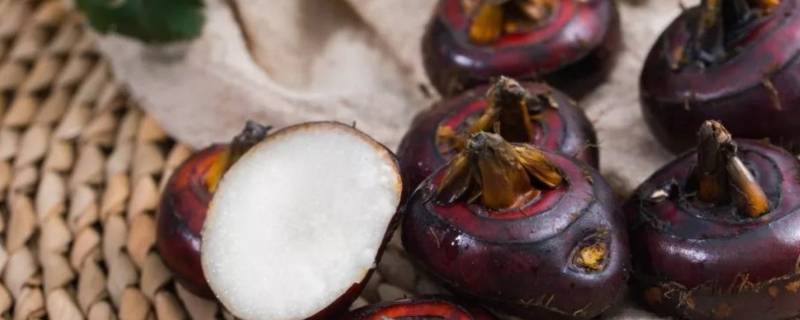 如何保存荸荠(新鲜荸荠如何保存)