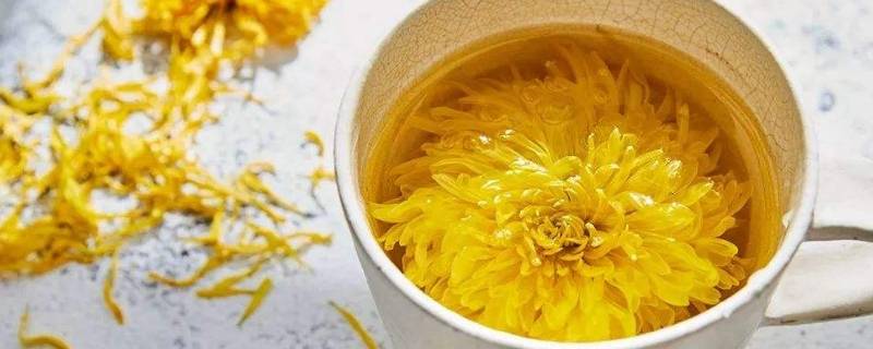 隔夜菊花茶可以继续喝吗(隔夜的雪菊花茶能喝吗)