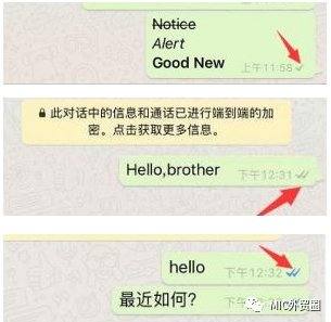 whatsapp上如何运营客户(whatsapp 2022最新版)