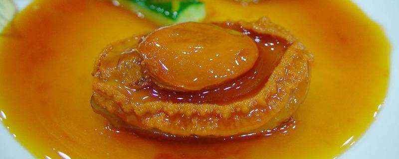 鲍鱼是怎样呼吸的(鲍鱼用什么呼吸啊)