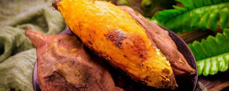 白薯是什么食物(白薯是什么图片)