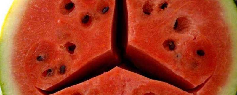 西瓜中间裂开(西瓜中间有裂纹能吃吗)
