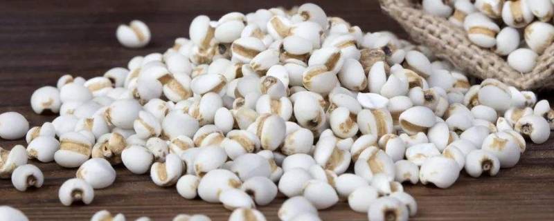 薏米可以和绿豆一起煮糖水吗(薏米可以和绿豆一起煮粥吗)