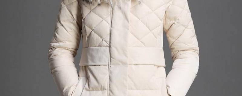 白色亮面羽绒服染色去除妙招(白色羽绒服衣服染色怎么洗白)