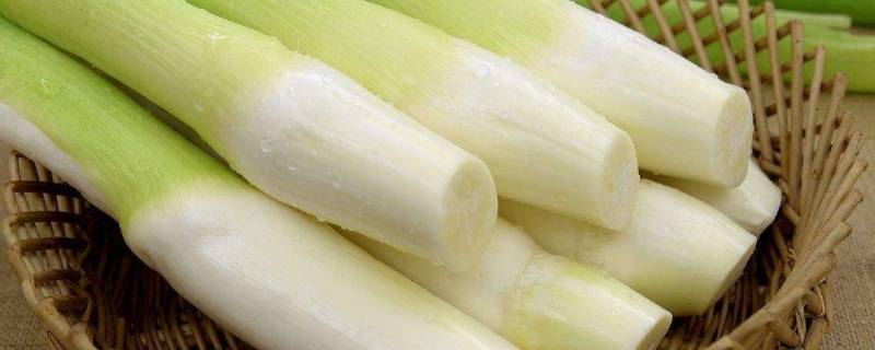 茭白黑点太多能吃吗(茭白黑点太多能不能吃)