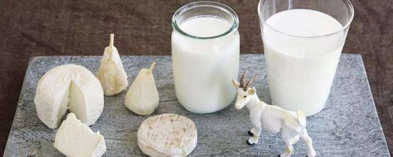 现挤鲜羊奶加热的正确方法(布病生羊奶加热的正确方法)