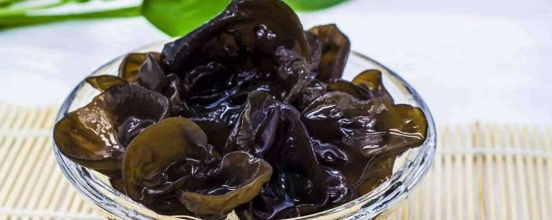 泡木耳用冷水还是开水(木耳泡是冷水还是热水)