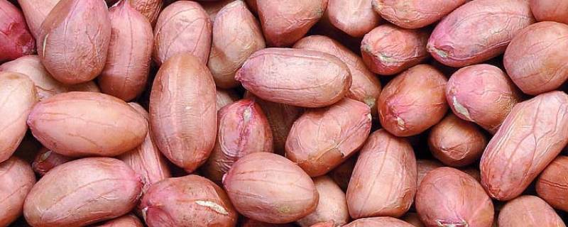 花生浸醋要浸几天(花生浸醋要多少天才可以吃)