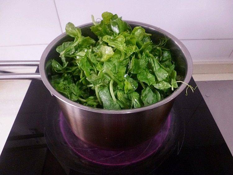 豌豆的家常做法(豌豆尖怎么做好吃豌豆炖鱼)