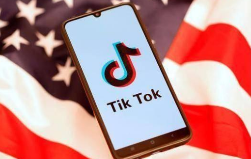 tiktok登录太频繁就不能进去了吗(tiktok注册提示频繁)