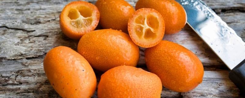 黄色的水果有哪些呢(橙色的水果有哪些的英语单词)