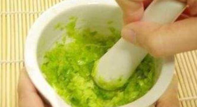 芦荟做菜怎么做好吃(芦荟烧菜怎么做)