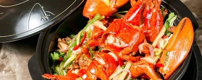 波士顿龙虾要蒸多少分钟(波士顿龙虾一般需要蒸多久)