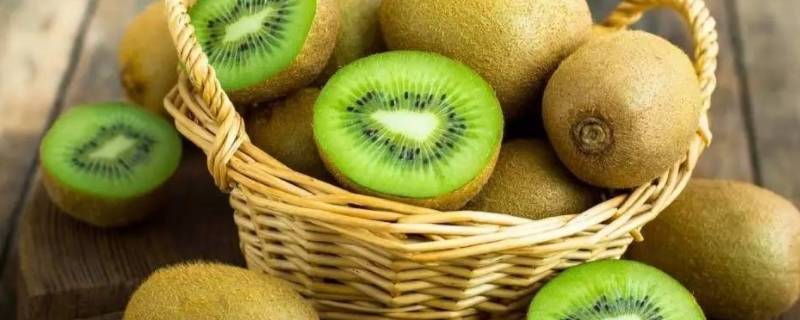 如何保存猕猴桃更久(如何保存猕猴桃不变软)