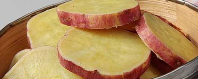 蒸番薯要多久时间(蒸番薯一般多少时间熟)