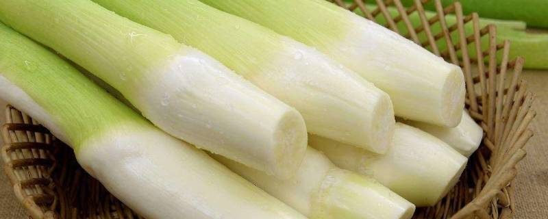 茭白生吃做法(茭白吃了对男人有什么坏处)