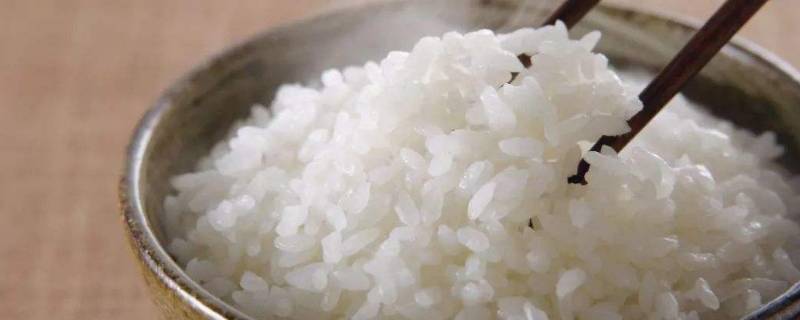 剩饭煲粥糖分会增加吗(新鲜饭和剩饭的糖分)