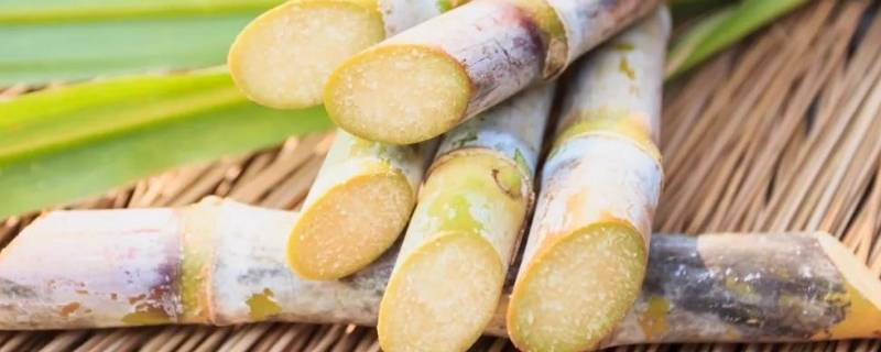 甘蔗心发黑怎么了(甘蔗心发黑是冻过了还是发霉了)