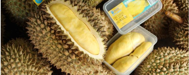 榴莲常温下可以存放多久没打开(榴莲常温下可以保存多久)