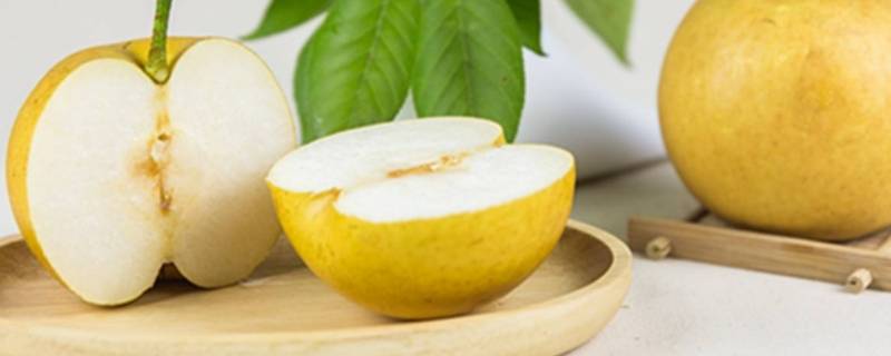 梨放冰箱能放多长时间(梨放冰箱能放多久)