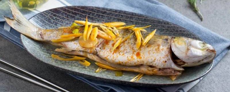 乌头鱼好吃吗?(吃乌头鱼的好处和坏处)